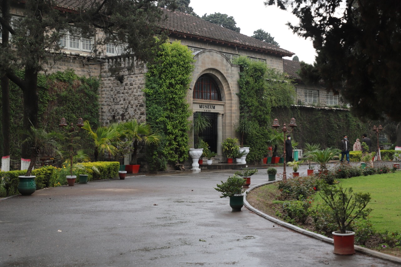 Japanese embassy says considering cultural grant for Taxila Museum