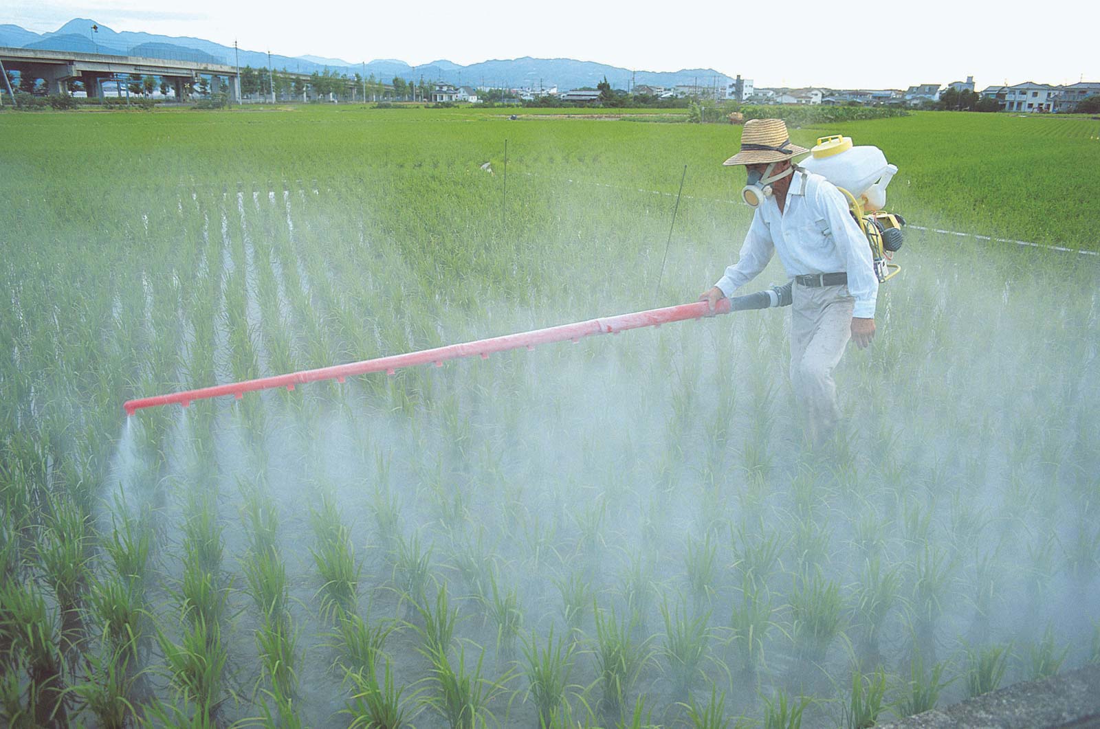 Pesticide or Poison?
