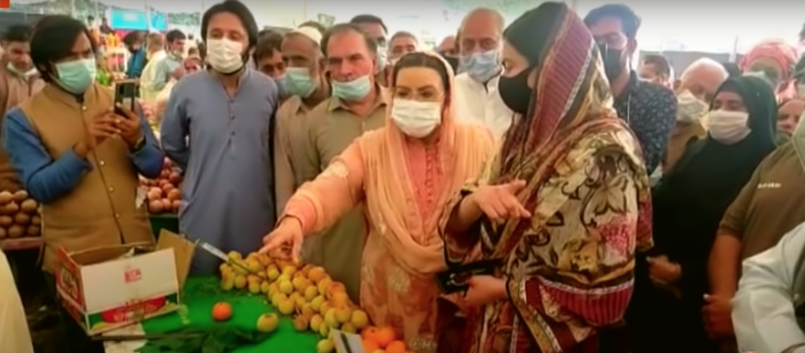Firdous chastises civil servant for not extending protocol
