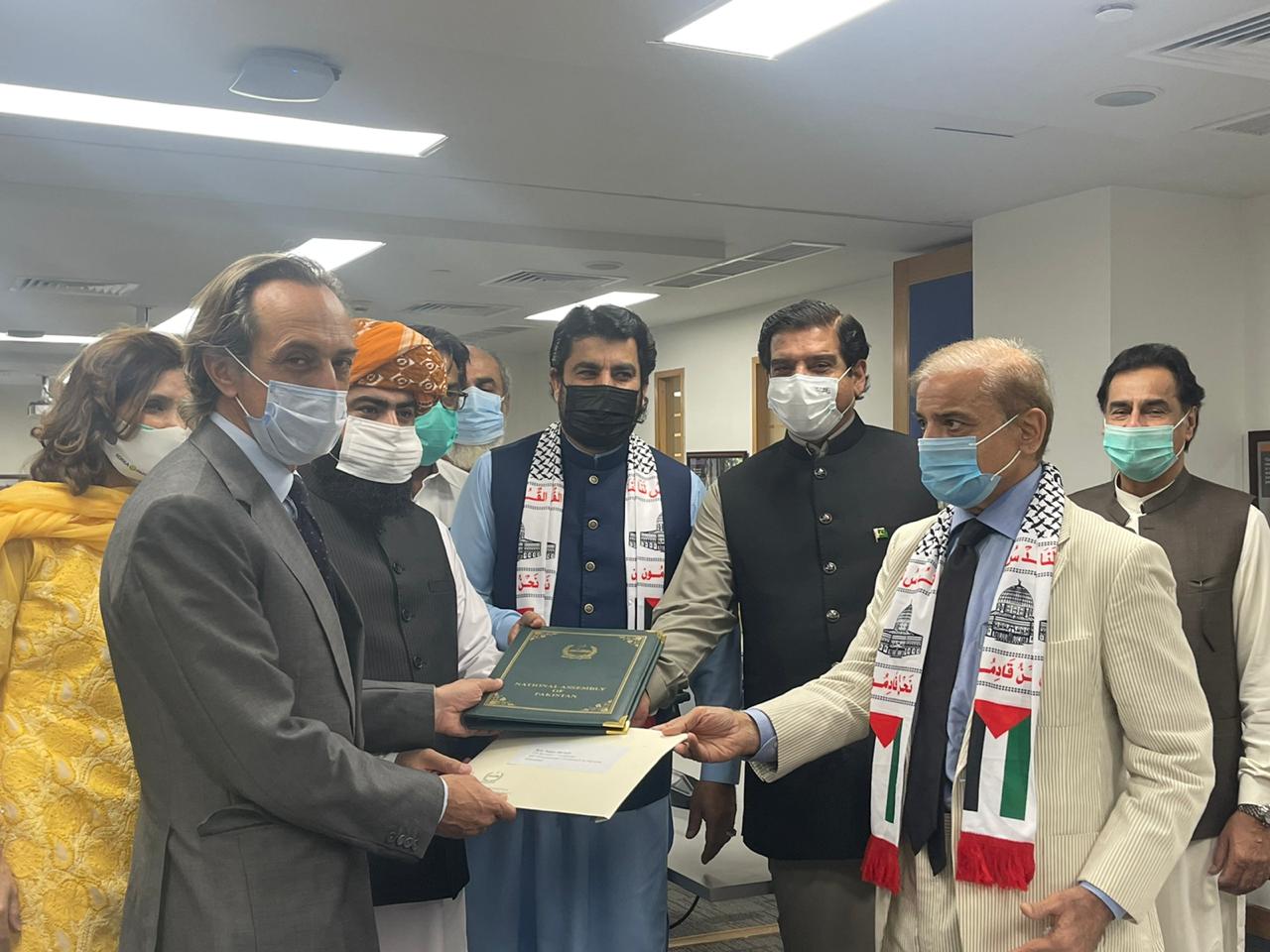 Shehbaz-led NA delegation hands over resolution on Palestine to UN representative