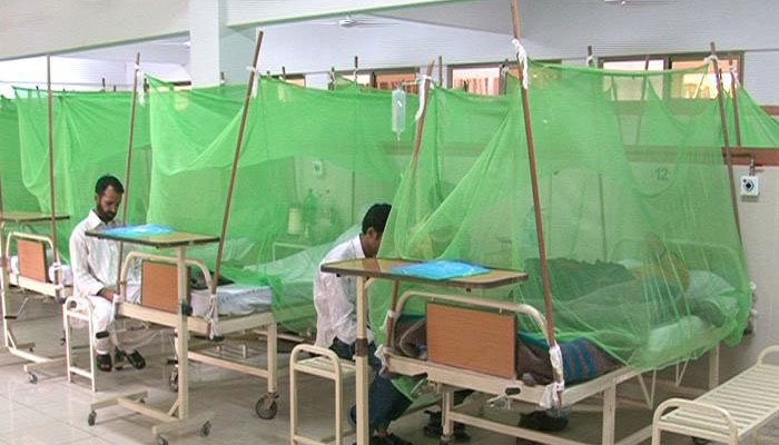 Three people in Punjab lose life to dengue virus