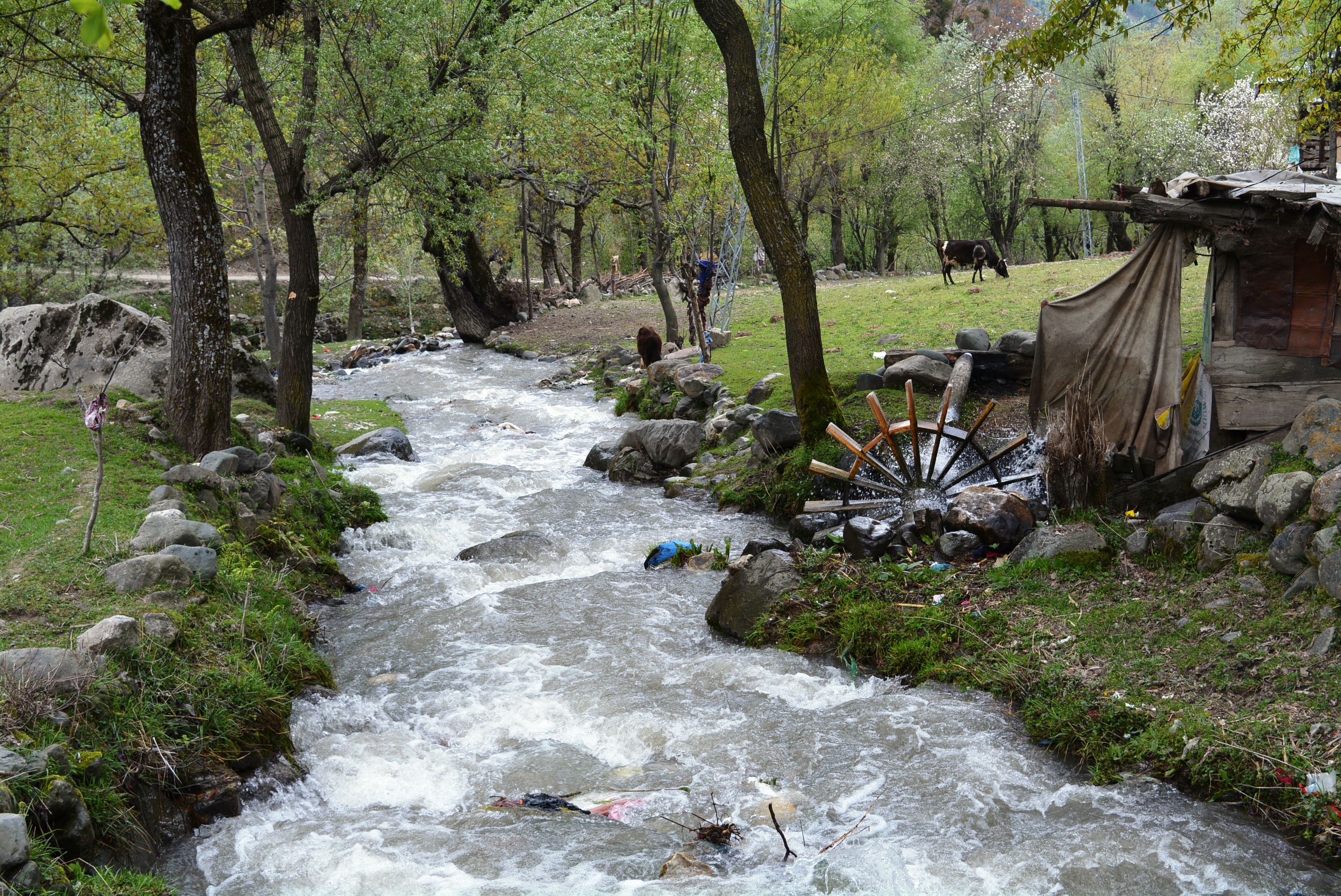 Watermills grind to a halt as erratic weather hits Kashmir grains