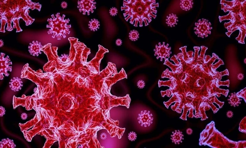 What makes Delta variant the most formidable version of coronavirus yet?
