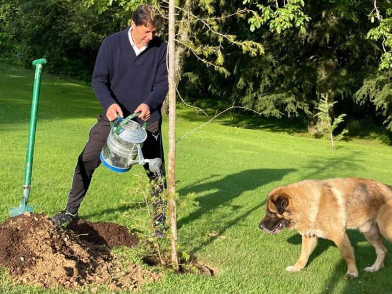 PM urges nation to take part in tree plantation drive