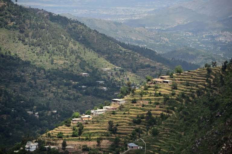 ‘Barren hills turning green’: PM lauds plantation drive’s results