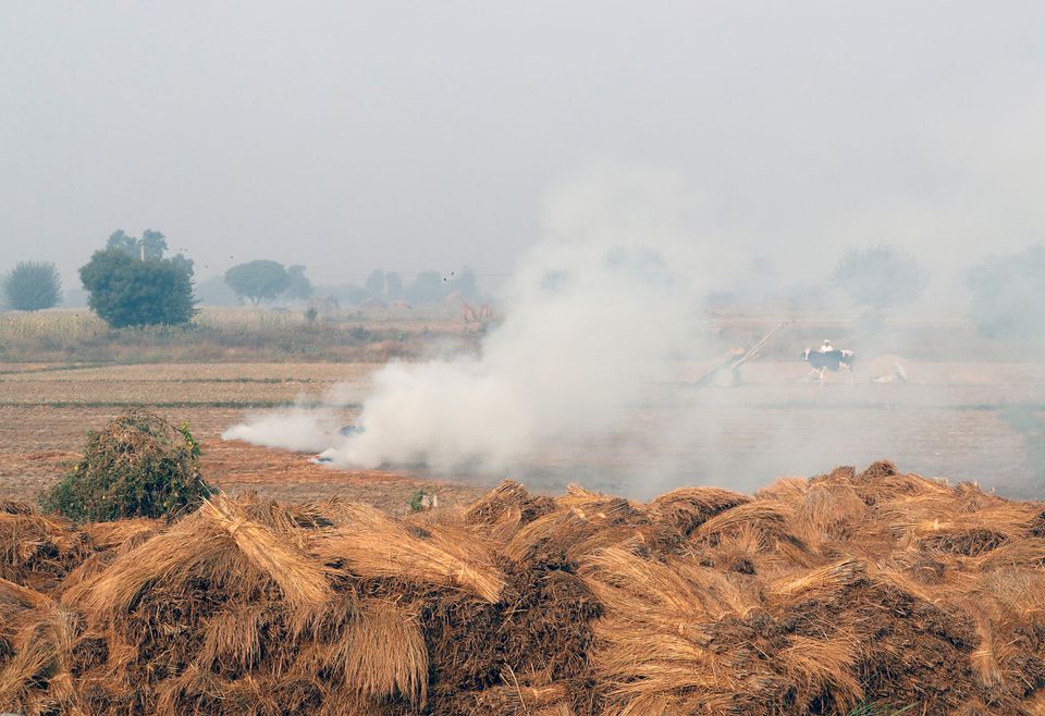 India's most populous state to drop crop burning cases against farmers