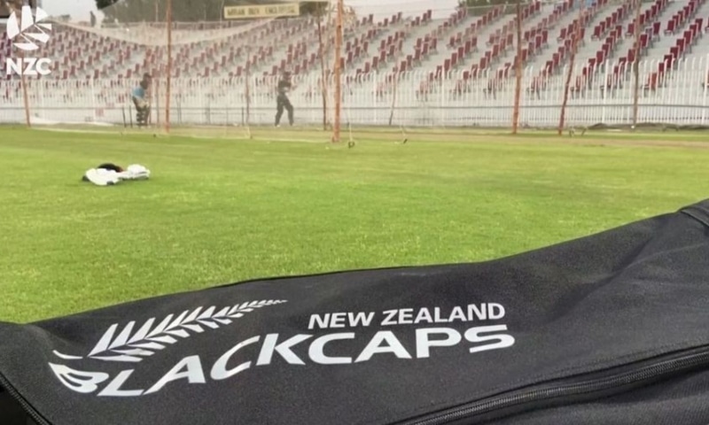 NZ can think about compensating PCB for financial loss, says David