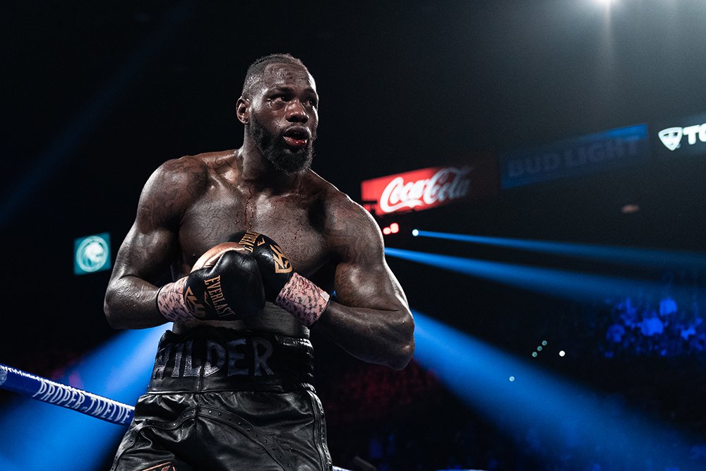 Beaten Wilder has no plans to retire, says trainer
