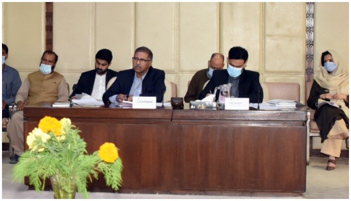 Senate approves bill allowing advisers of  CM to attend sessions of provincial assembly
