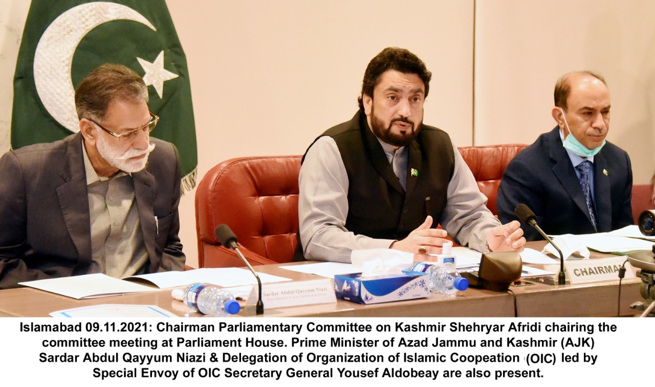 Shehryar Afridi urges OIC to consider economic sanctions against India for HR violations in IIOJK