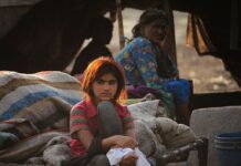 Dadu faces health crisis as malaria cases surge