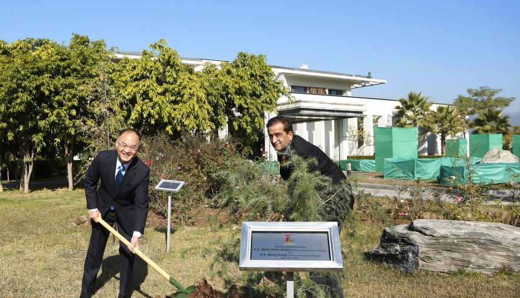 China gifts 7,000 saplings to support environment protection efforts