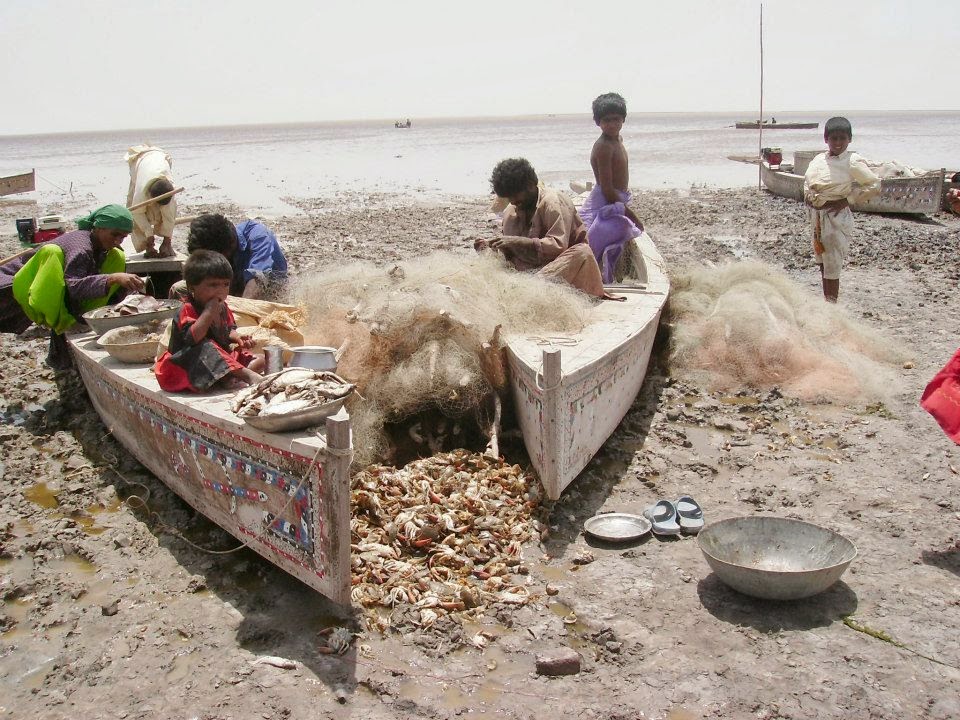 Residents of Sindh coastal areas seek govt's attention
