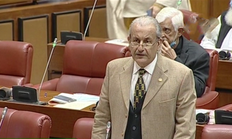 Extremists have torn state's writ into pieces, Rabbani tells Senate