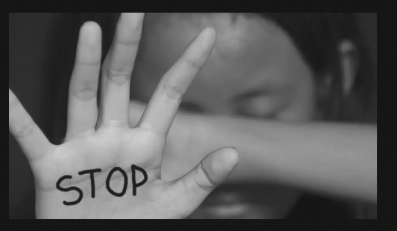 Our Society And Domestic Violence