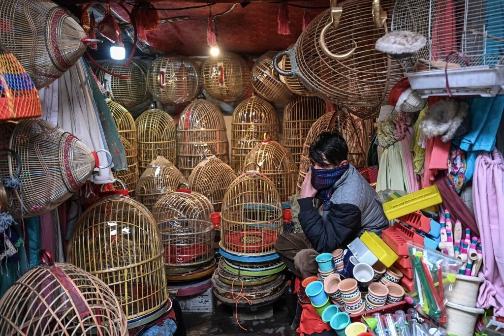LHC makes licence mandatory for bird sales across Punjab