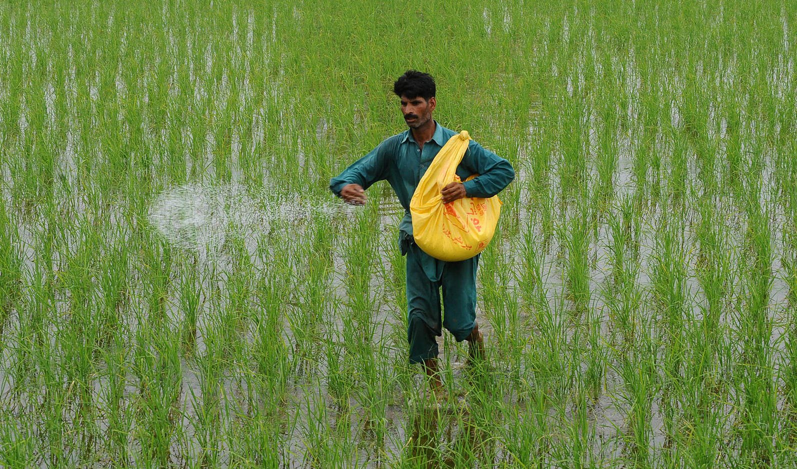 Pakistan, China sign MoU for seeds, pesticides and agriculture services