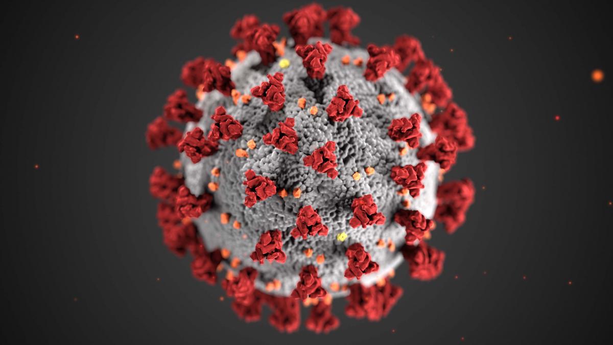 Covid-19 pandemic
