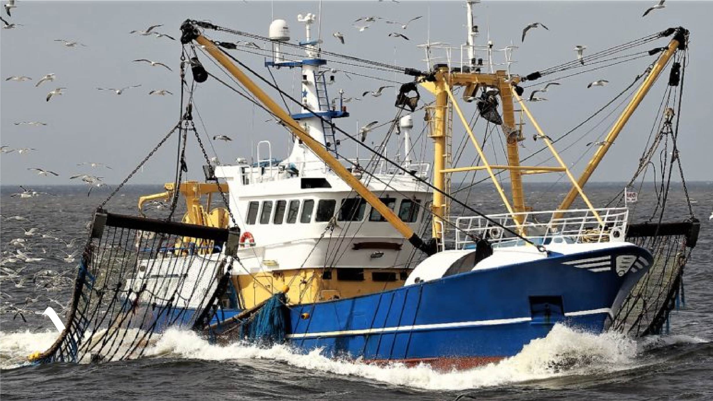 Three trawlers seized for illegally fishing in Gwadar
