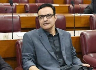 NA panel backs move to ban dual nationality for bureaucrats