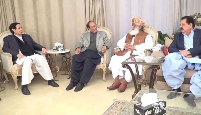 PPP, PML-Q vow to make future decisions together