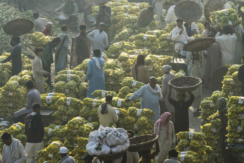 Economic reforms urged to fight soaring food and fuel prices