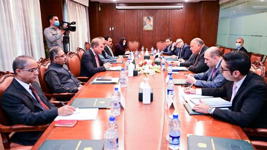 Qureshi, Egypt counterpart discuss ties, global issues