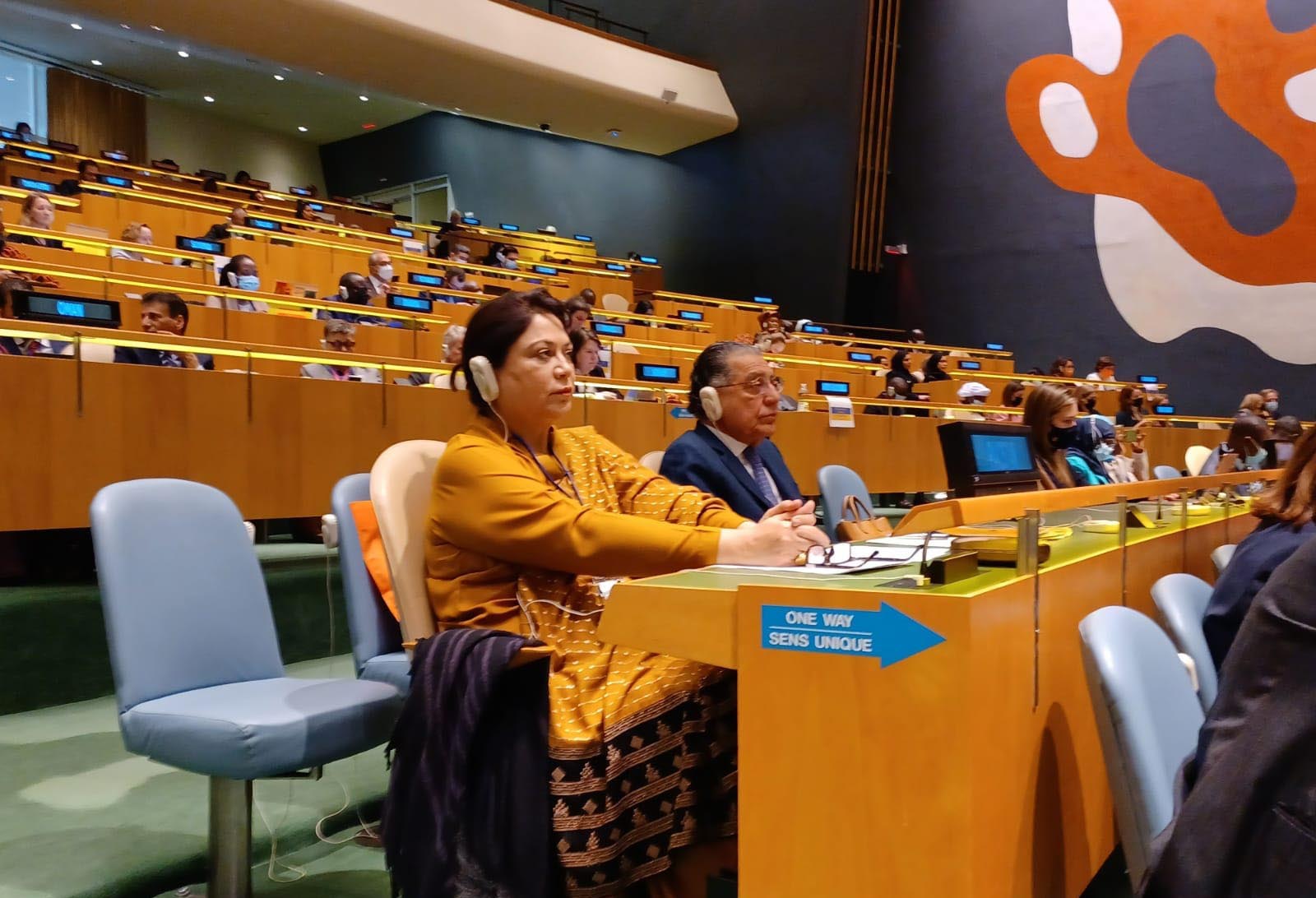 At UN, Pakistan stresses inclusive decision-making to combat climate challenge