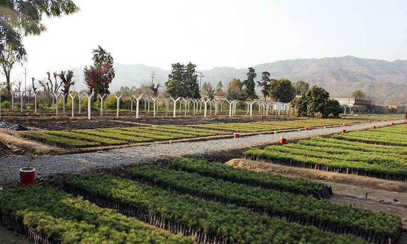 Pakistan leading global ecosystem restoration efforts: UNEP