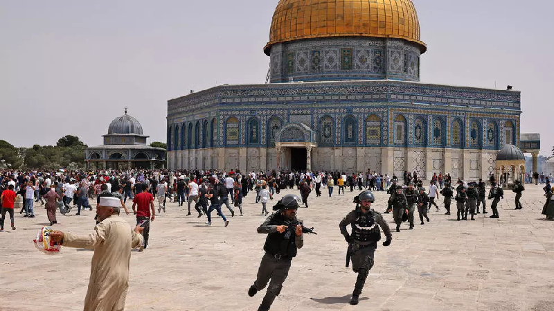 Amnesty calls for end to Israel's 'war against humanity'