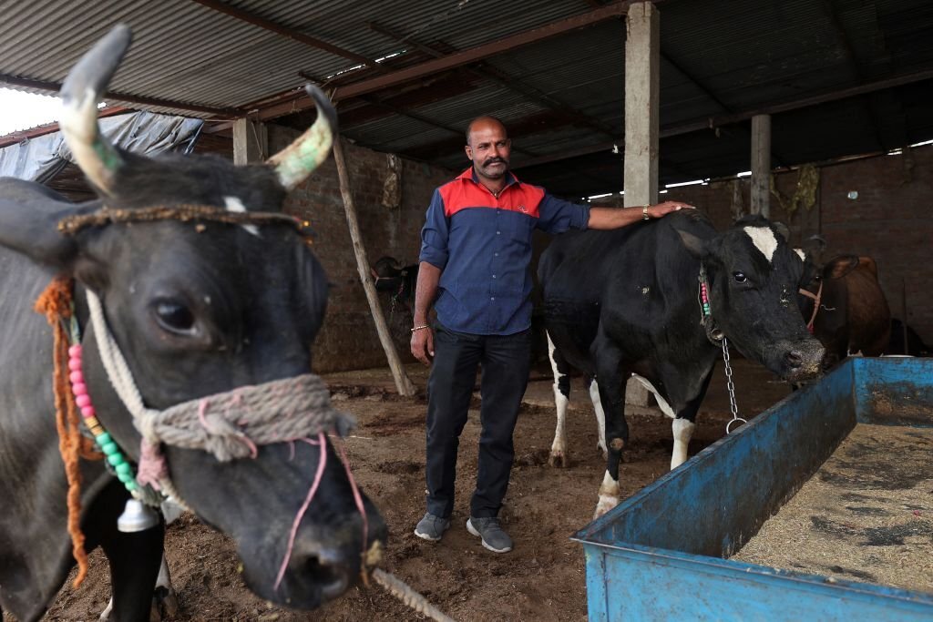 Dung power: India taps new energy cash cow