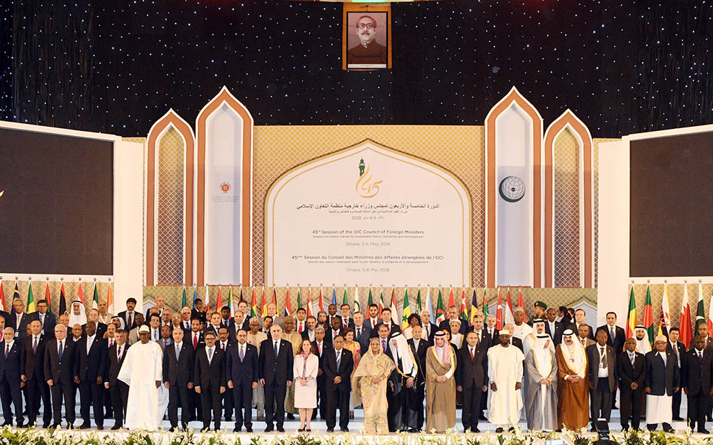 Why did the OIC declaration offend India so much?