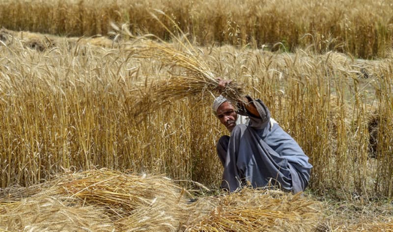 Rising temperatures trigger water, food insecurity in Pakistan, India