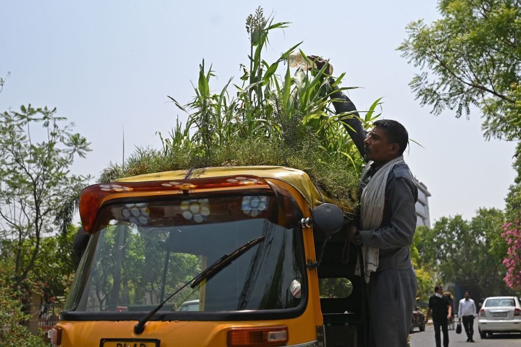 Rickshaw driver catches two robbers