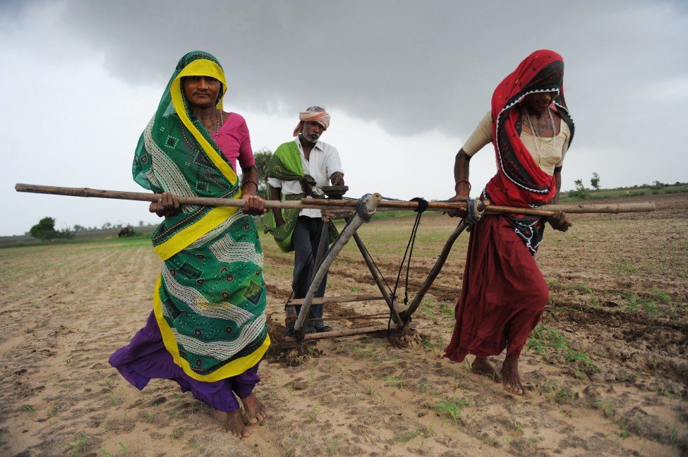 Pakistan Kissan Ittehad rejects Punjab govt’s Rs15b relief package