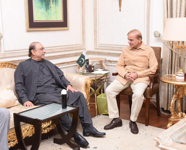PM Shehbaz, Zardari discuss options to help foil PTI's resignation plan
