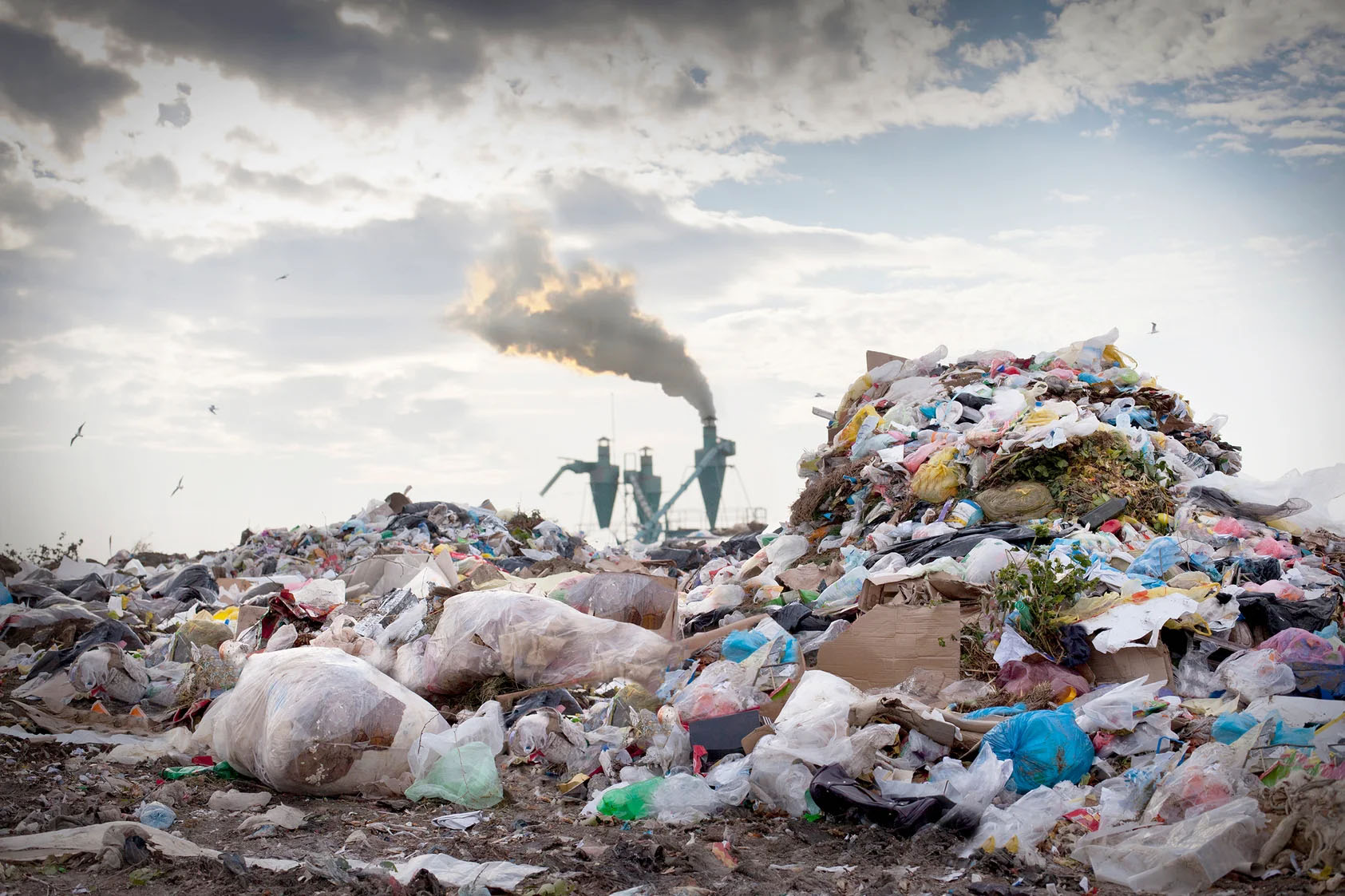 The Environment Crisis