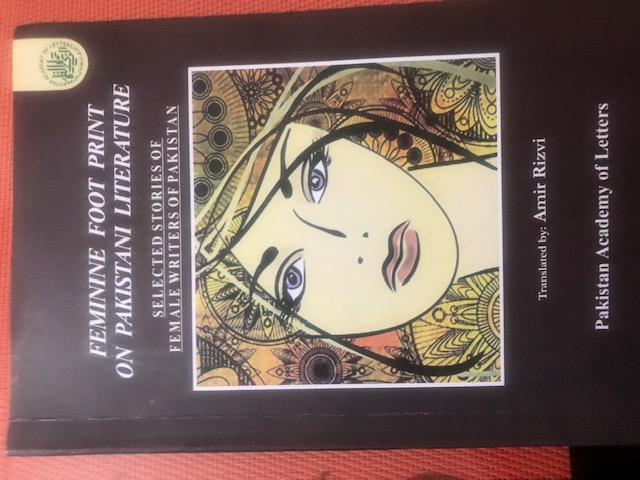 Book Review: ‘Feminine Footprint on Pakistani Literature’ by Amir Rizvi