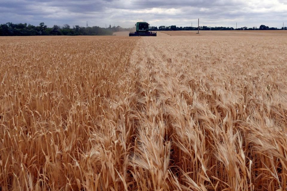'Reprehensible' Russian strikes on Odessa port cast doubt over grain deal