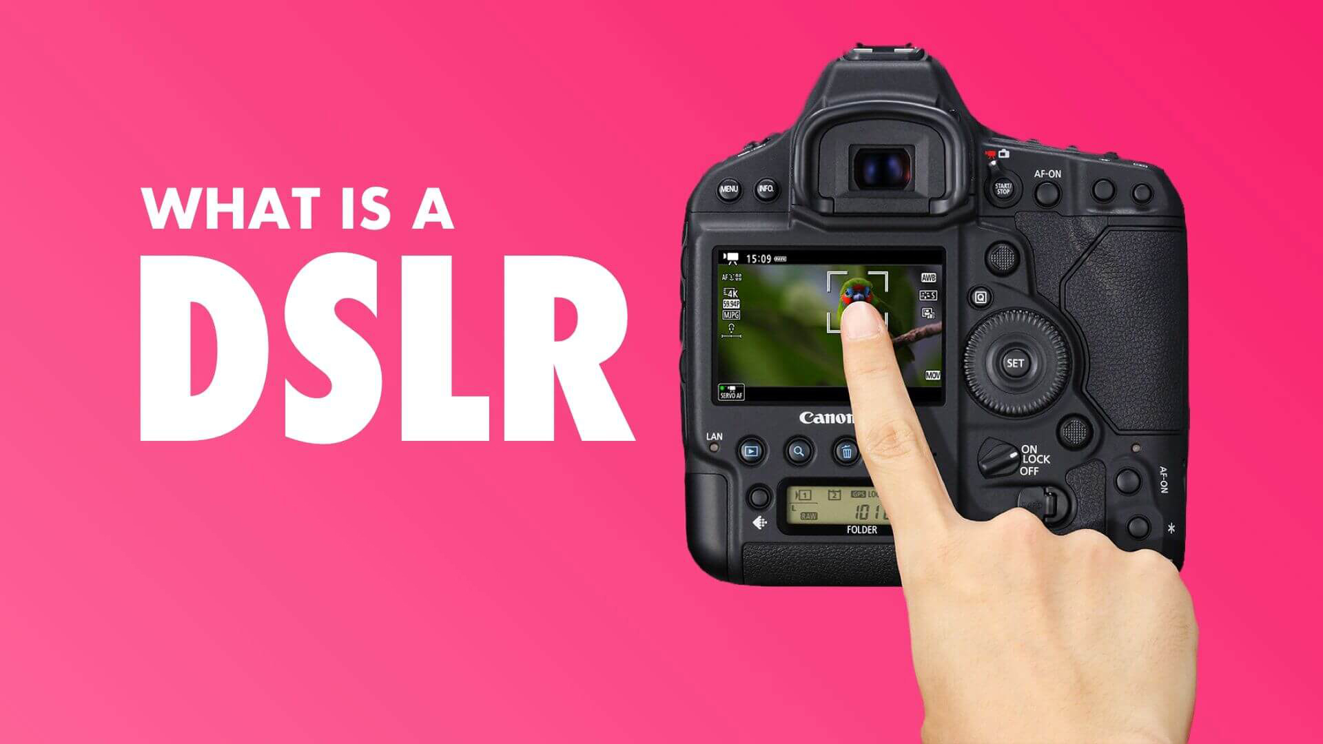 The curse of the digital camera