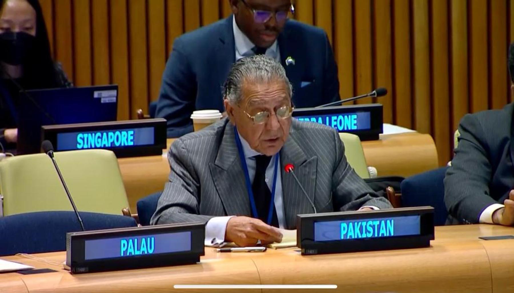 Pakistan committed to peaceful S. Asia goal despite India threat: Akram