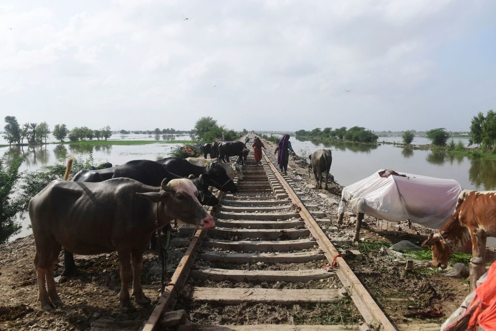 From furnace to flood: Jacobabad, world's hottest city, now under water