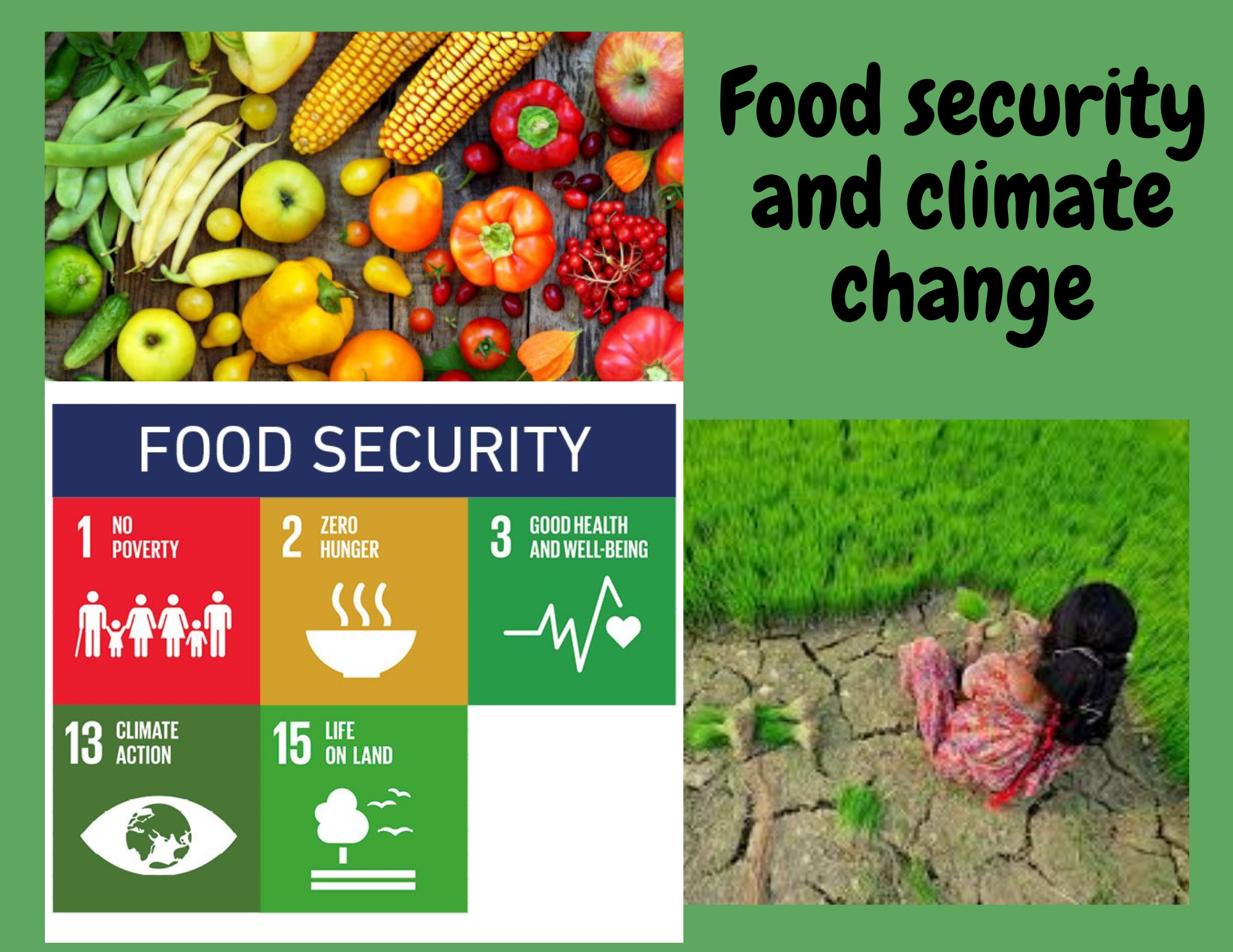 The disaster of climate change & food security in Pakistan