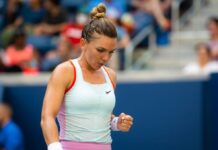 ‘No chance’ Halep purposely took drugs, says former coach Cahill