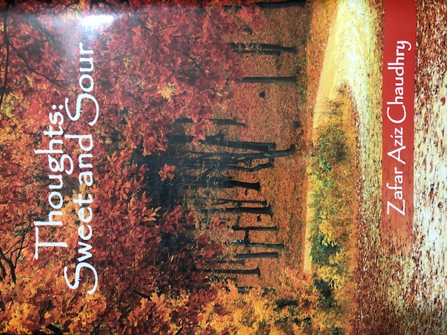 Book Review: Sweet and sour thoughts