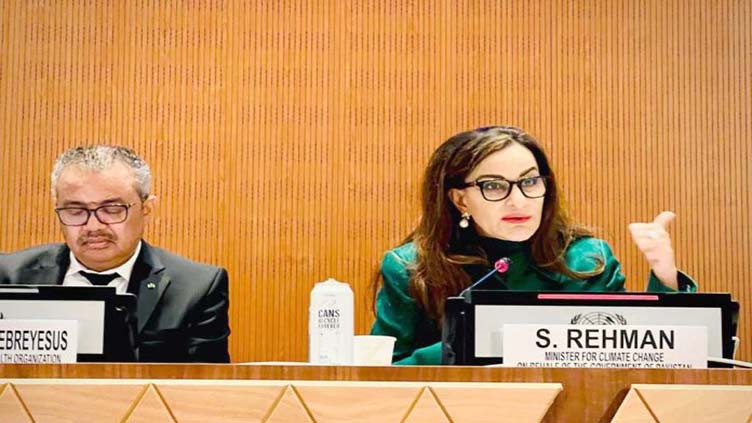 Pakistan needs a coalition of the willing to help deal with disaster caused by floods: Sherry Rehman