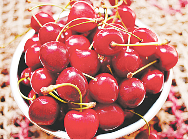 Pakistani cherries poised to debut in Chinese language market