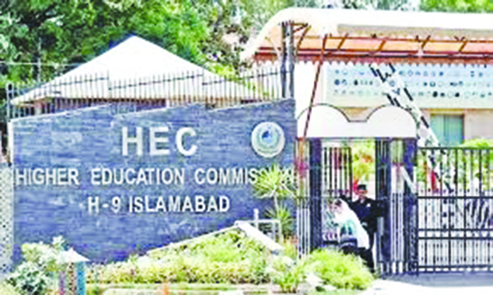 The HEC’s Undergraduate Education Policy: A toxic chimera