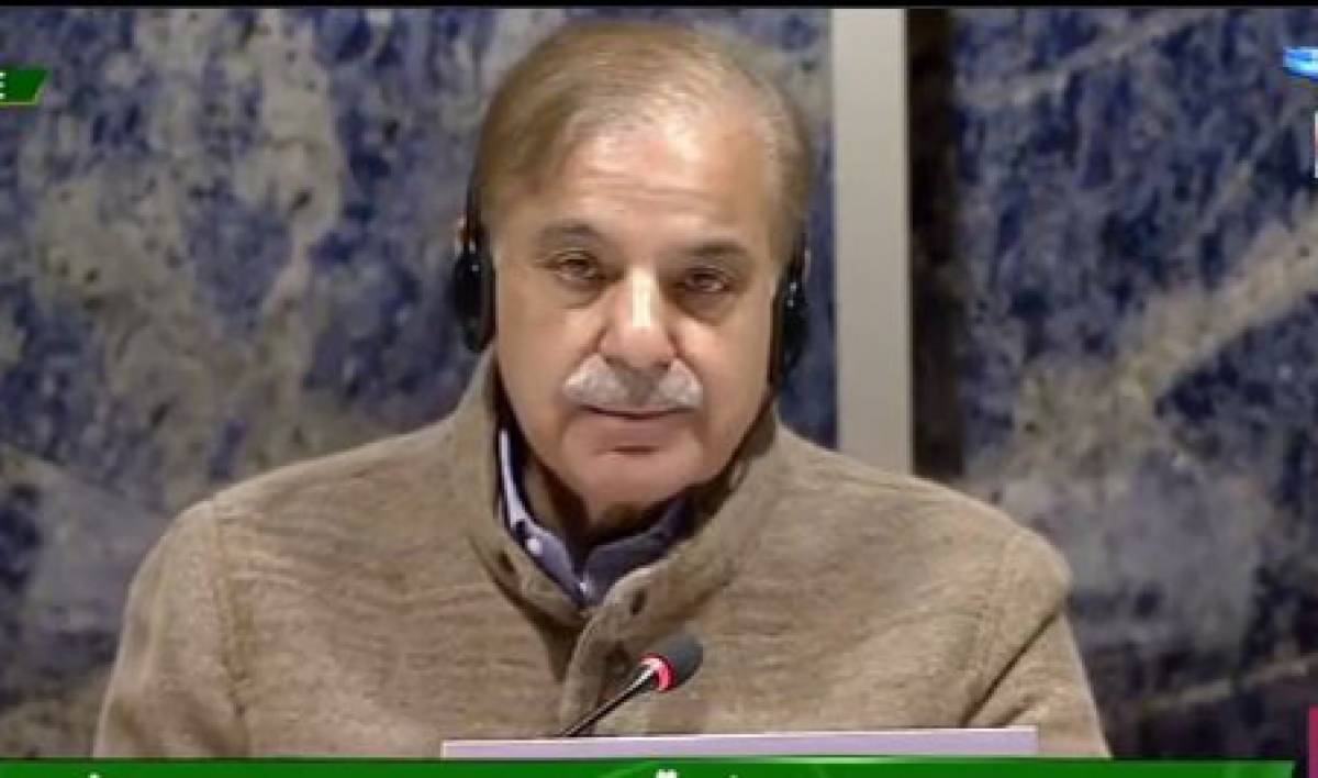 Climate Resilient Pakistan conference in Geneva calls for support amid post-flood challenges