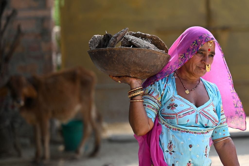 Cow dung protects from radiation, Indian court claims